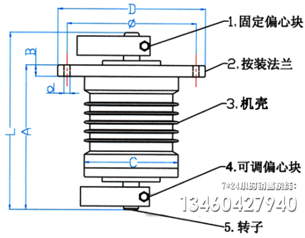 立式振動(dòng)電機(jī)原理圖